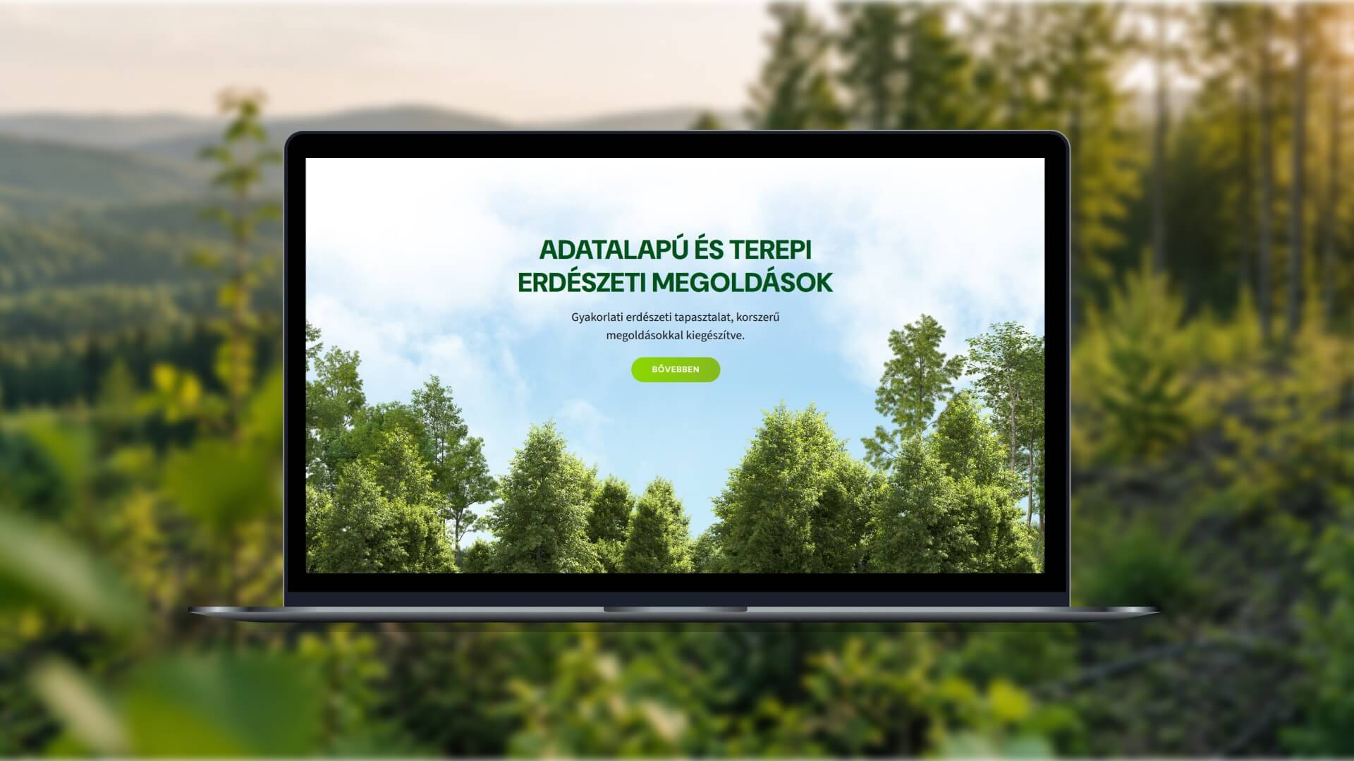 Mainforest